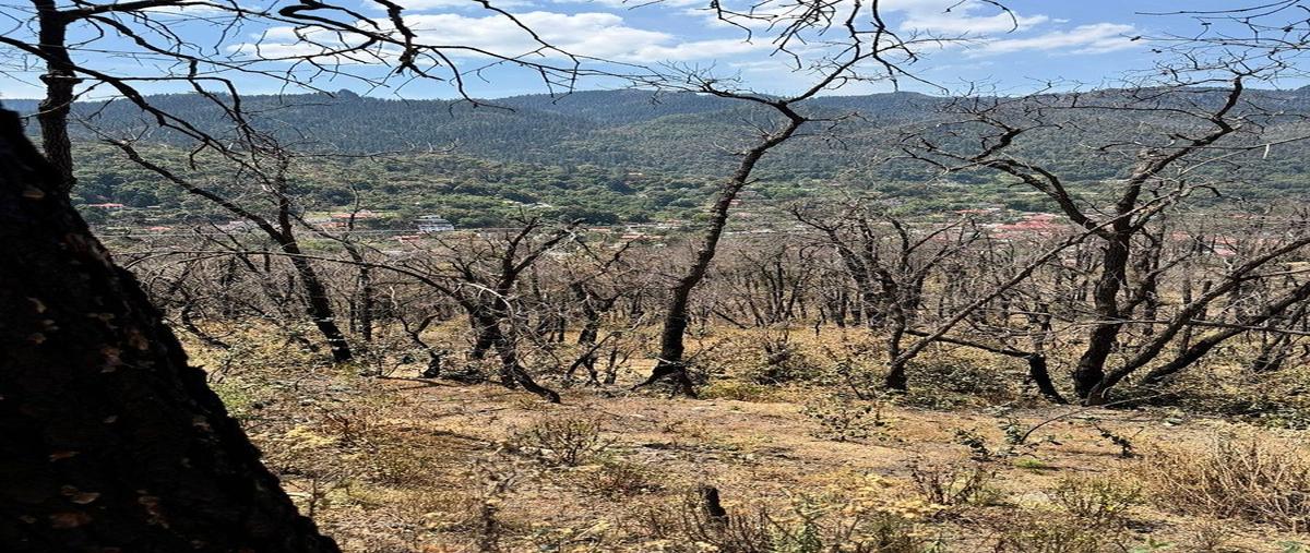Foto de terreno habitacional en venta en camino de herradura , la sierra, mineral del chico, hidalgo, 0 No. 04