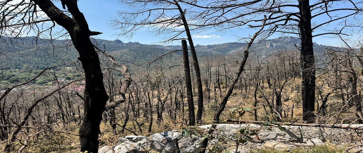 Foto de terreno habitacional en venta en camino de herradura , la sierra, mineral del chico, hidalgo, 0 No. 05