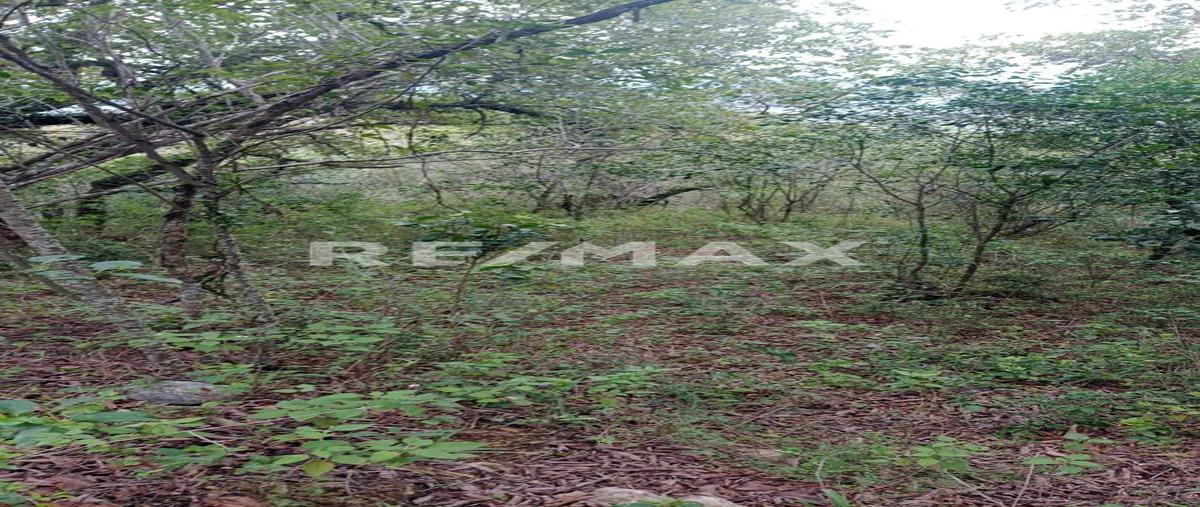 Foto de terreno habitacional en venta en camino de la cuchilla , san jose del norte, santiago, nuevo león, 0 No. 03