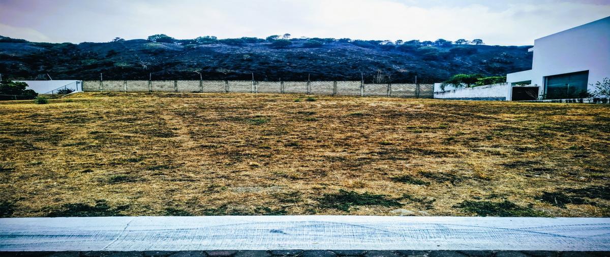 Foto de terreno habitacional en venta en camino de la cuesta , rinconada santa anita, tlajomulco de zúñiga, jalisco, 0 No. 03