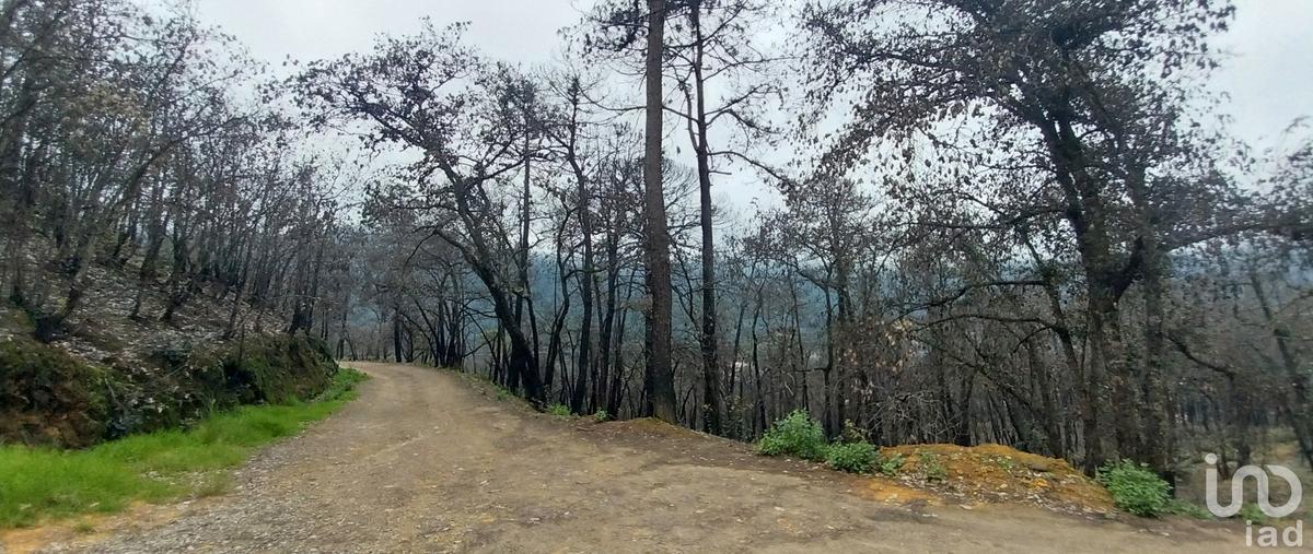 Foto de terreno habitacional en venta en camino de la herradura 198, la sierra, mineral del chico, hidalgo, 28882770 No. 03