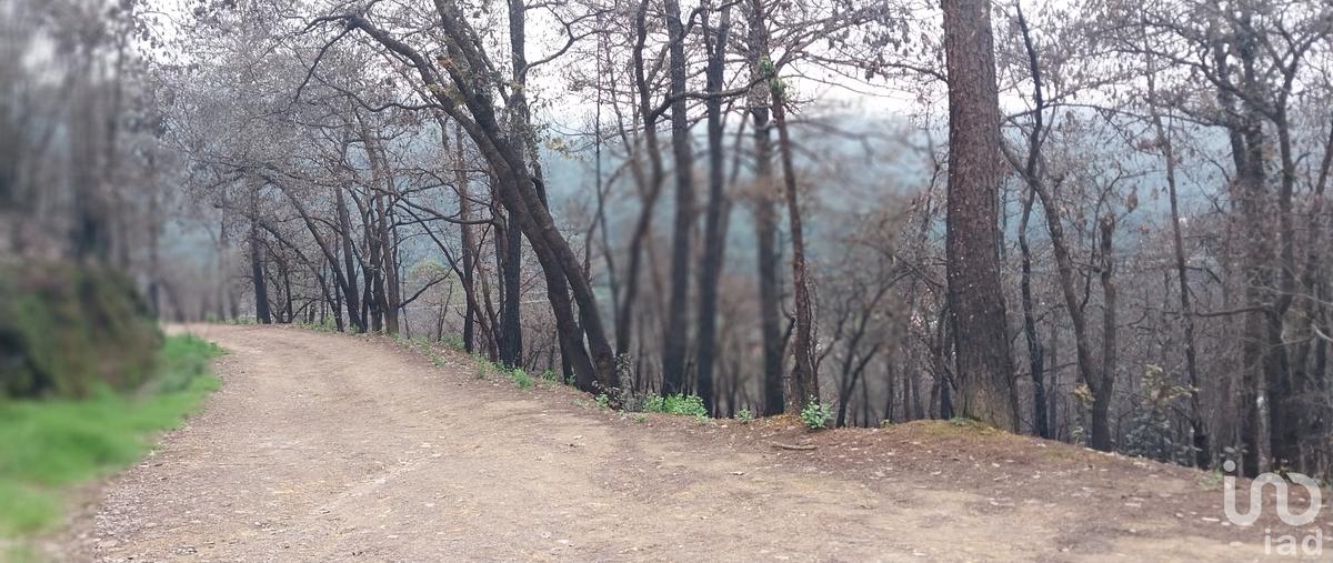 Foto de terreno habitacional en venta en camino de la herradura 198, la sierra, mineral del chico, hidalgo, 28882770 No. 04