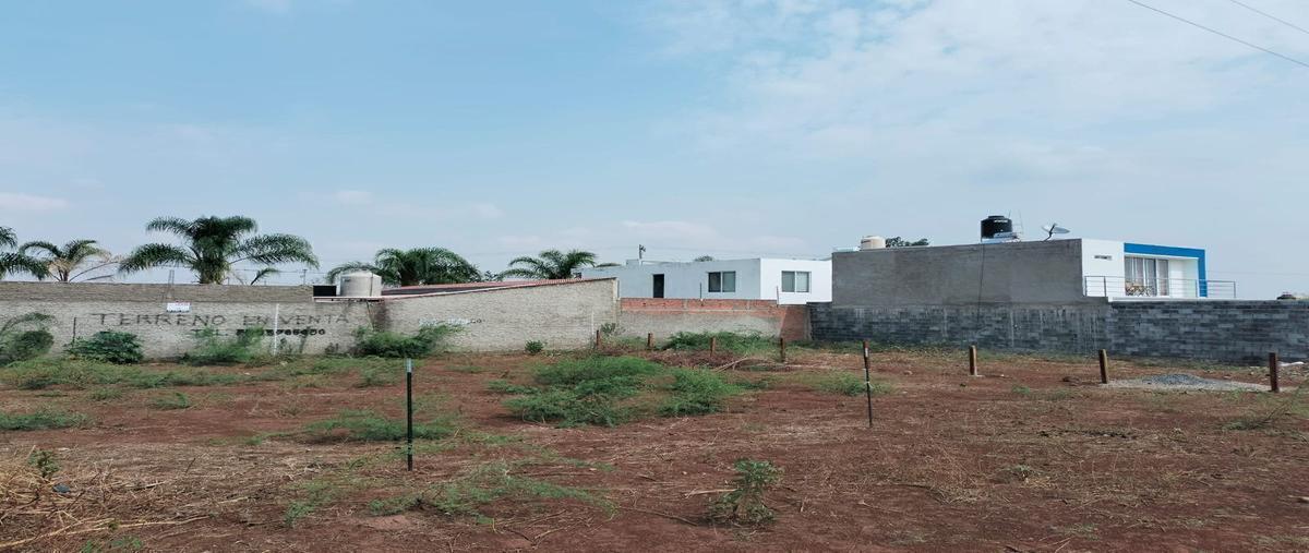 Foto de terreno habitacional en venta en camino de la huerta , san antonio juanacaxtle, juanacatlán, jalisco, 26822134 No. 03