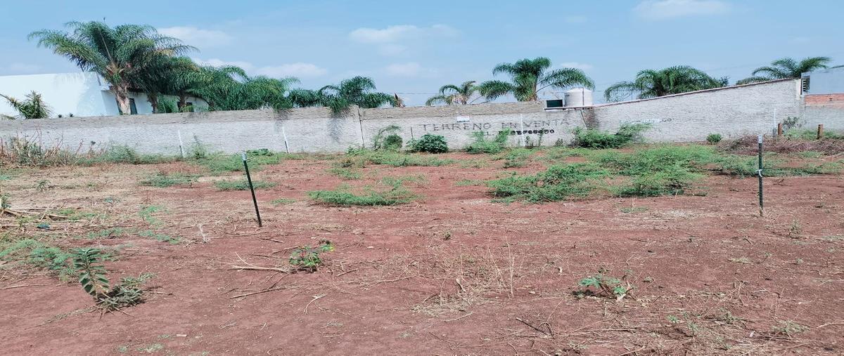 Foto de terreno habitacional en venta en camino de la huerta , san antonio juanacaxtle, juanacatlán, jalisco, 26822134 No. 04