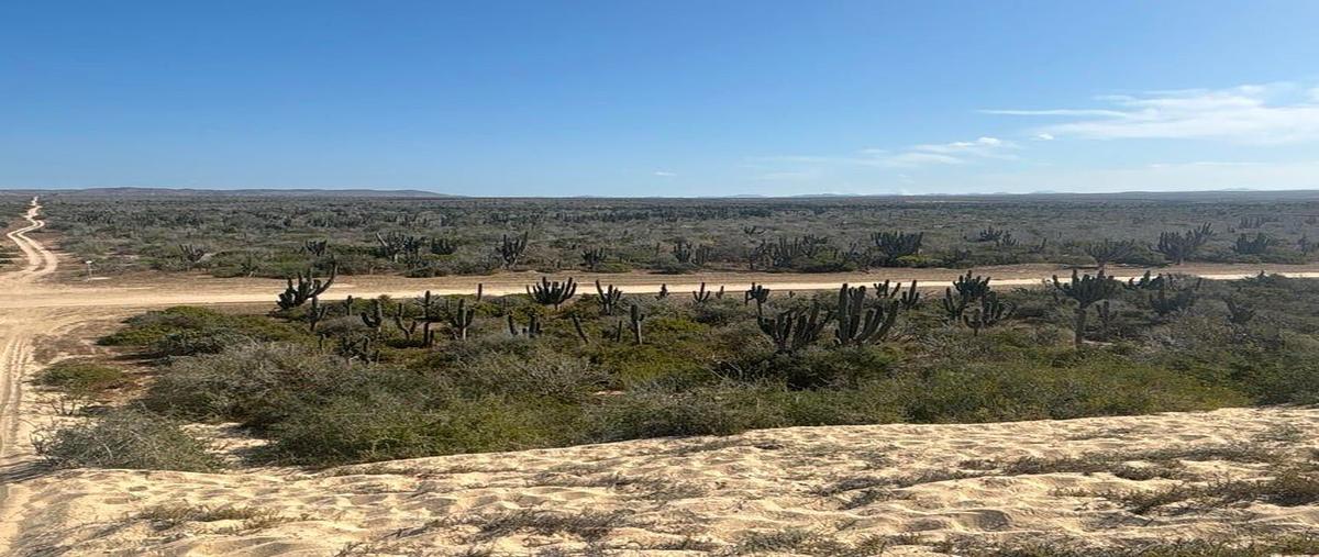 Foto de terreno habitacional en camino de la langosta , la cahchora, la paz, baja california sur, 0 foto 02 Foto de terreno habitacional en venta en camino de la langosta , la cahchora, la paz, baja california sur, 0 No. 02