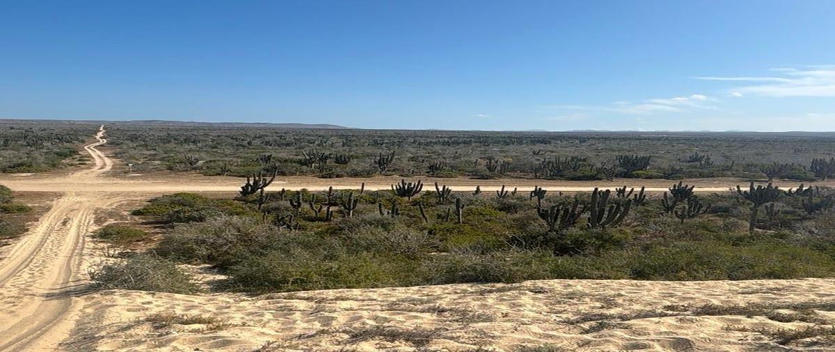 Foto de terreno habitacional en camino de la langosta , la cahchora, la paz, baja california sur, 0 foto 03 Foto de terreno habitacional en venta en camino de la langosta , la cahchora, la paz, baja california sur, 0 No. 03