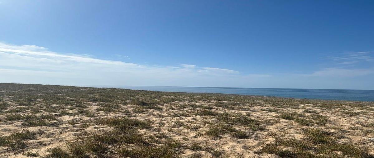 Foto de terreno habitacional en camino de la langosta , la cahchora, la paz, baja california sur, 0 foto 04 Foto de terreno habitacional en venta en camino de la langosta , la cahchora, la paz, baja california sur, 0 No. 04