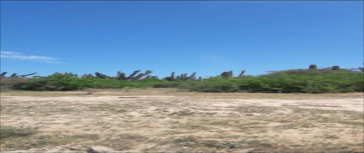 Foto de terreno comercial en venta en camino de la langosta y camino del abulón, la paz, baja california sur. , agua blanca, la paz, baja california sur, 29277134 No. 03