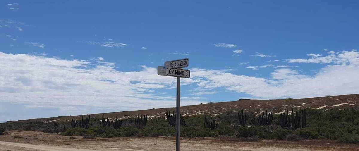 Foto de terreno comercial en venta en camino de la langosta y camino del abulón, la paz, baja california sur. , agua blanca, la paz, baja california sur, 29277134 No. 05