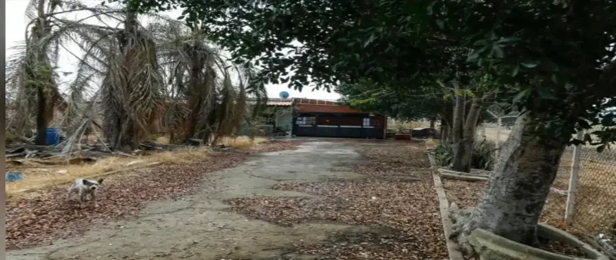 Foto de terreno industrial en venta en camino de la lenteja 1, matatlan, zapotlanejo, jalisco, 0 No. 05