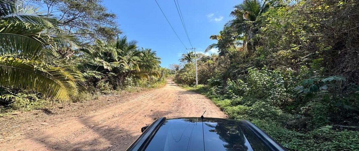 Foto de terreno habitacional en venta en camino de las bugambilias , los ayala, compostela, nayarit, 29519349 No. 02