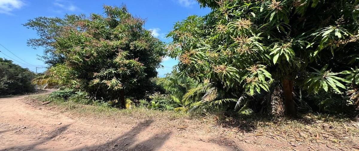 Foto de terreno habitacional en venta en camino de las bugambilias , los ayala, compostela, nayarit, 29519349 No. 03