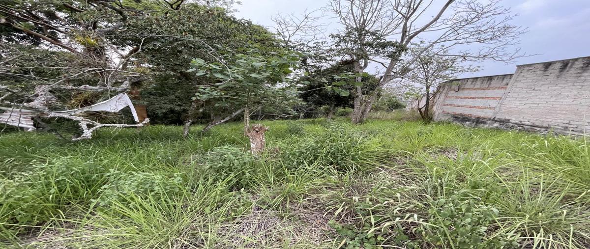 Foto de terreno habitacional en venta en camino de las higueras a, la estanzuela, emiliano zapata, veracruz de ignacio de la llave, 28018113 No. 03