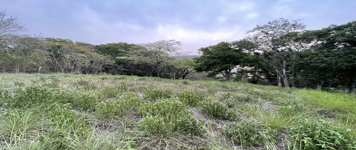 Foto de terreno habitacional en venta en camino de las higueras a, la estanzuela, emiliano zapata, veracruz de ignacio de la llave, 28018113 No. 04