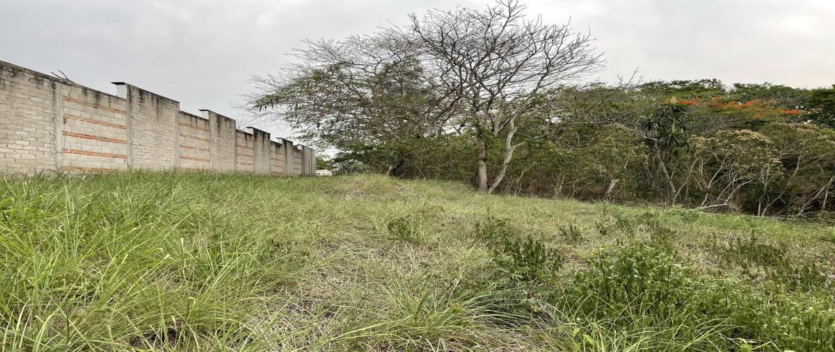 Foto de terreno habitacional en venta en camino de las higueras a, la estanzuela, emiliano zapata, veracruz de ignacio de la llave, 28018113 No. 05