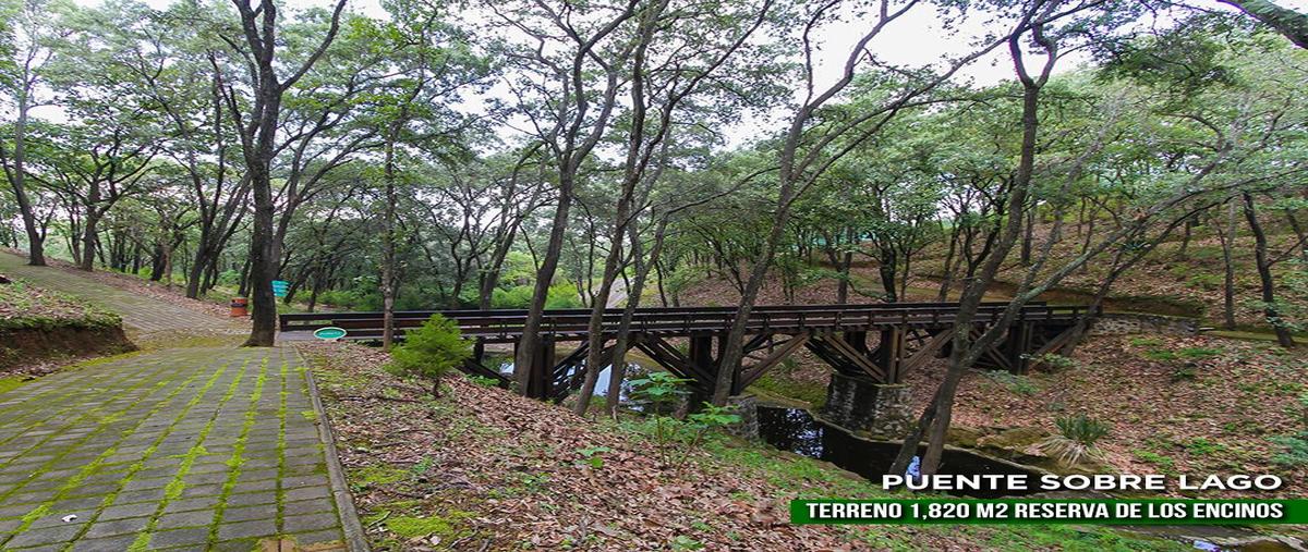 Foto de terreno habitacional en venta en camino de lo pinos( reserva los encinos) , teuchitlán, teuchitlán, jalisco, 29384083 No. 03