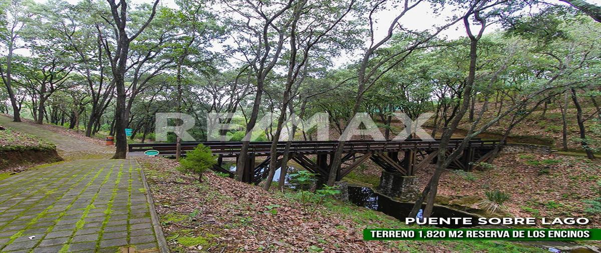 Foto de terreno habitacional en venta en camino de lo pinos( reserva los encinos) , teuchitlán, teuchitlán, jalisco, 0 No. 03