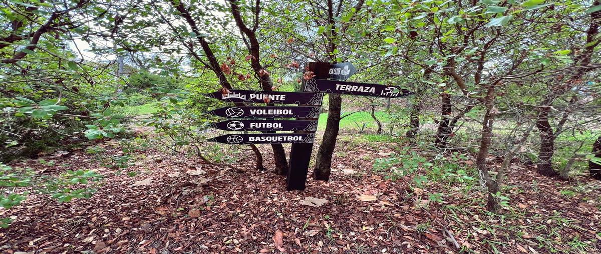 Foto de terreno habitacional en camino de los encinos 1, la estanzuela, teuchitlán, jalisco, 28461474 foto 05 Foto de terreno habitacional en venta en camino de los encinos 1, la estanzuela, teuchitlán, jalisco, 28461474 No. 05