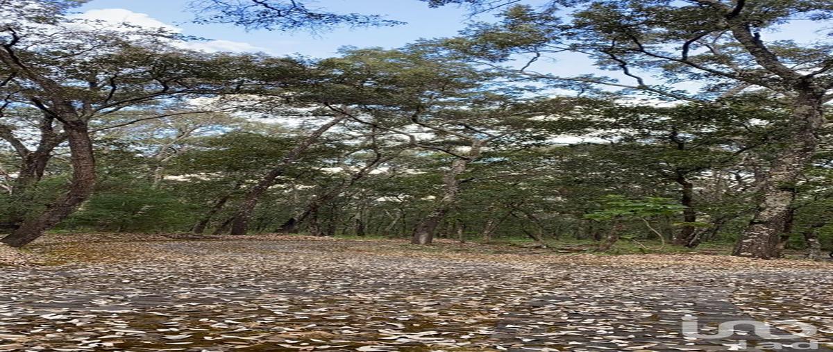 Foto de terreno habitacional en venta en camino de los halcones , teuchitlán, teuchitlán, jalisco, 30134310 No. 03