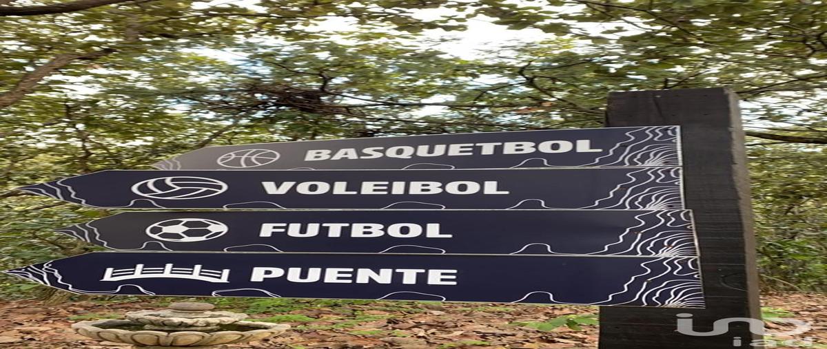 Foto de terreno habitacional en venta en camino de los halcones , teuchitlán, teuchitlán, jalisco, 30134310 No. 04