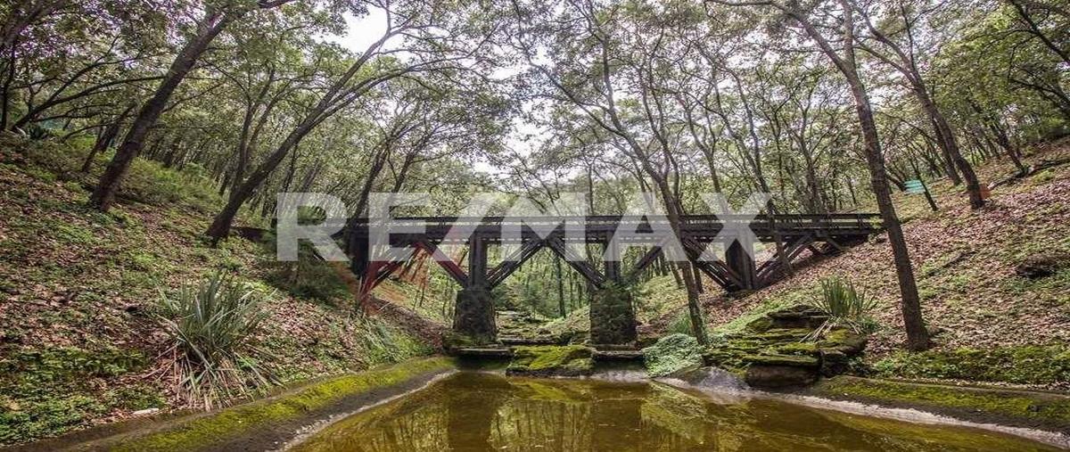 Foto de terreno habitacional en venta en camino de los pinos , teuchitlán, teuchitlán, jalisco, 0 No. 03