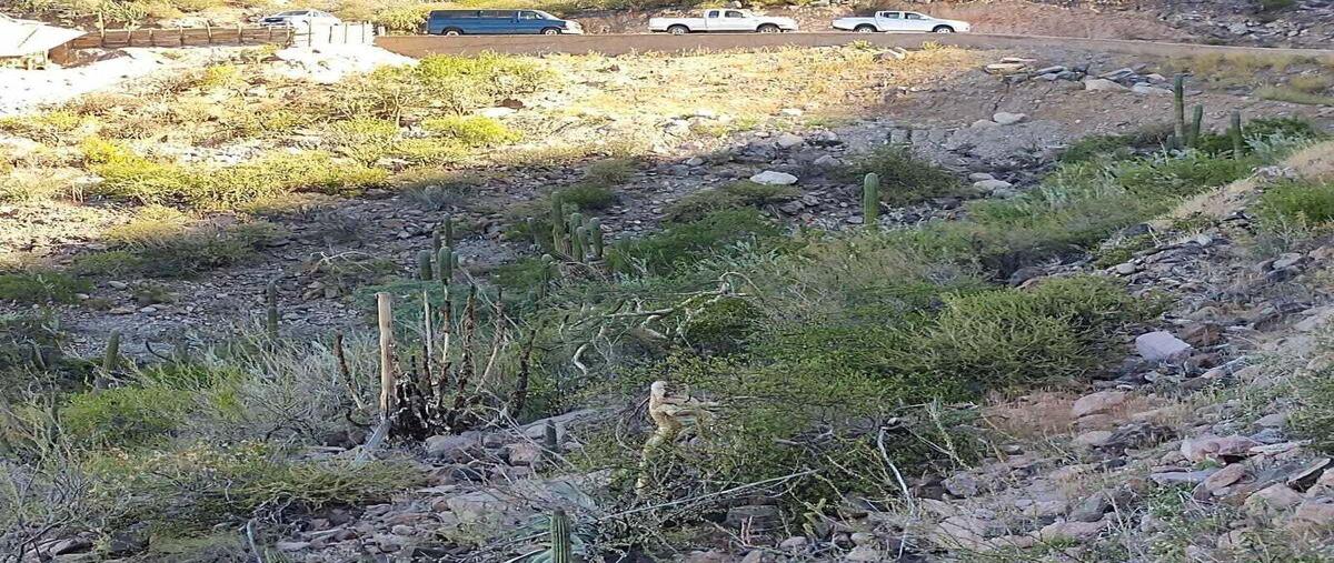Foto de terreno habitacional en venta en camino del alabastro , pedregal de la paz, la paz, baja california sur, 29979282 No. 03