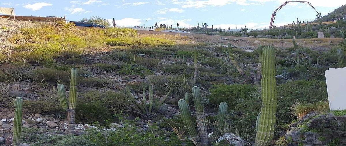 Foto de terreno habitacional en venta en camino del alabastro , pedregal de la paz, la paz, baja california sur, 0 No. 05