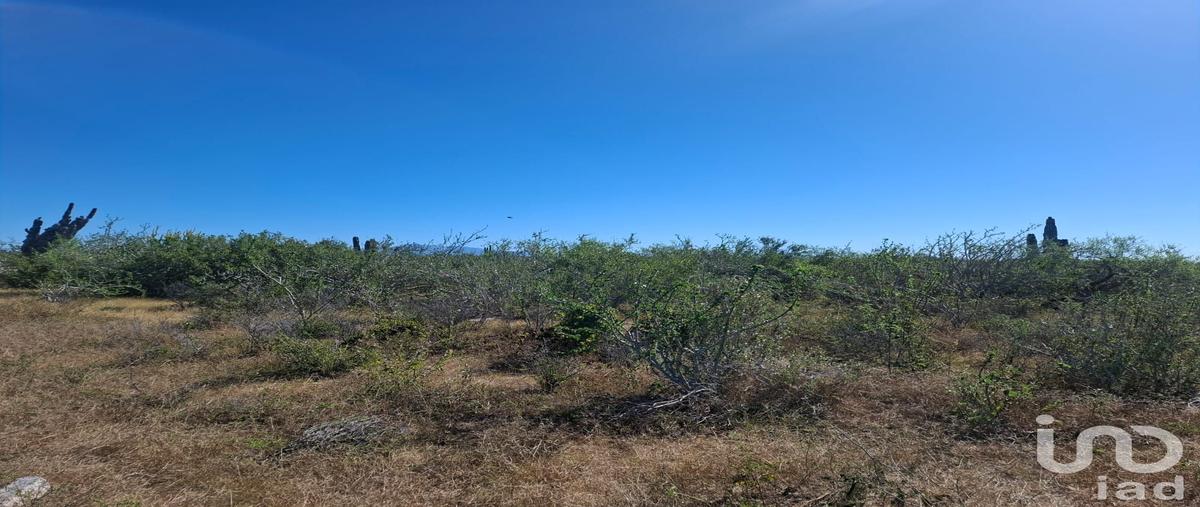 Foto de terreno habitacional en venta en camino del calamar , agua blanca, la paz, baja california sur, 0 No. 03
