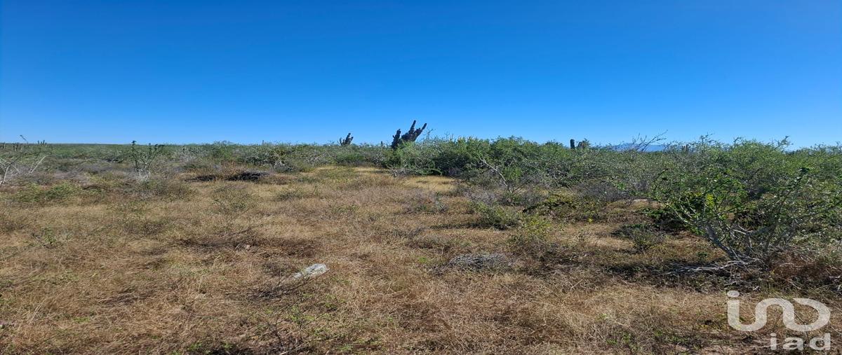 Foto de terreno habitacional en venta en camino del calamar , agua blanca, la paz, baja california sur, 0 No. 05