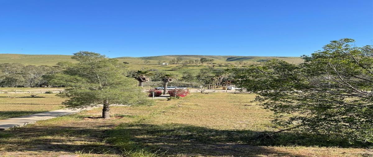 Foto de rancho en venta en camino del carrizo , san jorge, tecate, baja california, 25429799 No. 03