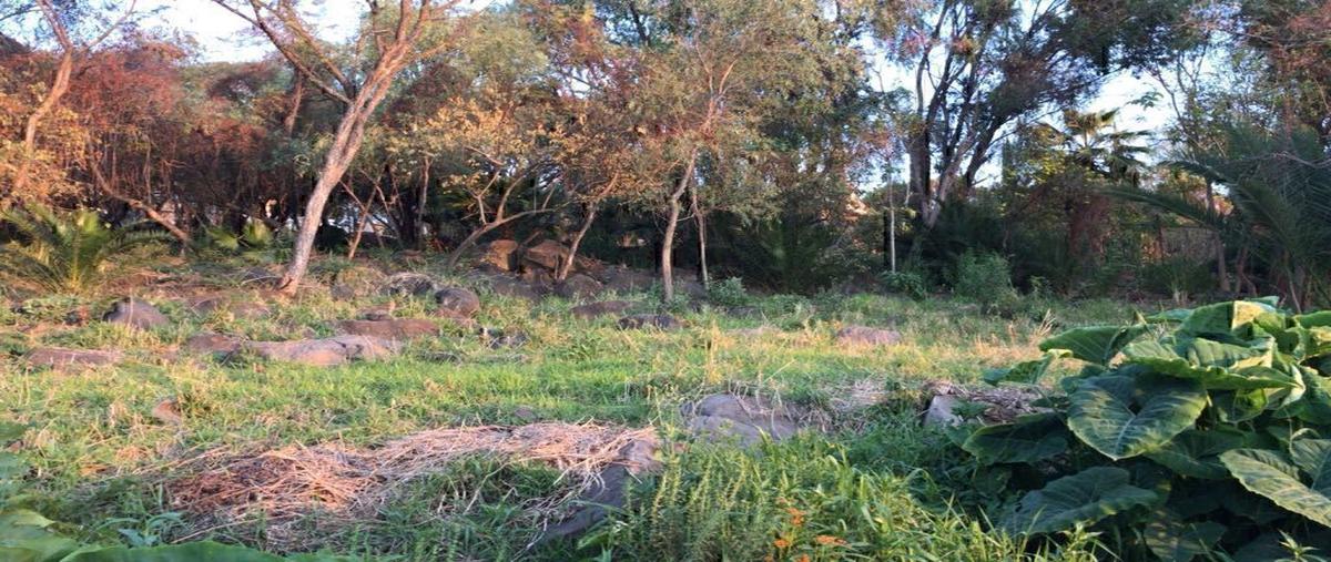 Foto de terreno habitacional en venta en camino del comodoroclub náutico puente viejo , juanacatlan, juanacatlán, jalisco, 0 No. 03