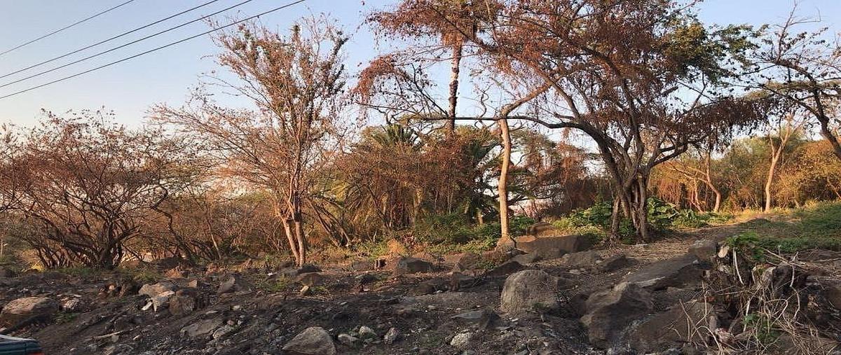 Foto de terreno habitacional en camino del comodoroclub náutico puente viejo , juanacatlan, juanacatlán, jalisco, 0 foto 05 Foto de terreno habitacional en venta en camino del comodoroclub náutico puente viejo , juanacatlan, juanacatlán, jalisco, 0 No. 05