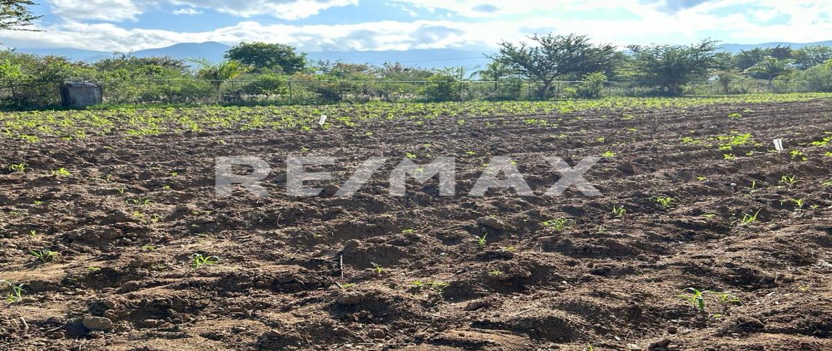 Foto de terreno habitacional en venta en camino del cura , la trinidad, tlalixtac de cabrera, oaxaca, 0 No. 03