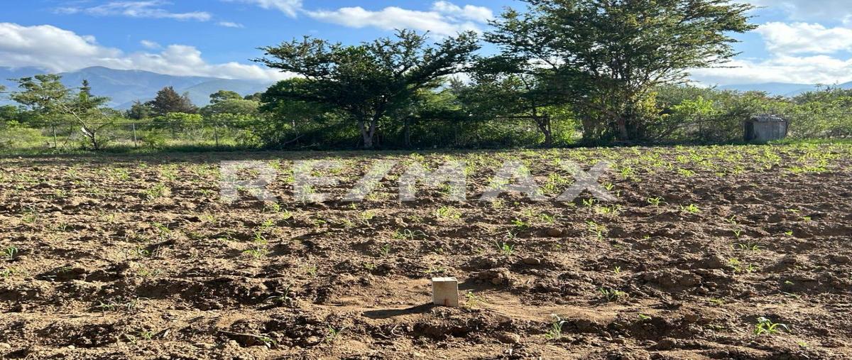 Foto de terreno habitacional en venta en camino del cura , la trinidad, tlalixtac de cabrera, oaxaca, 0 No. 05