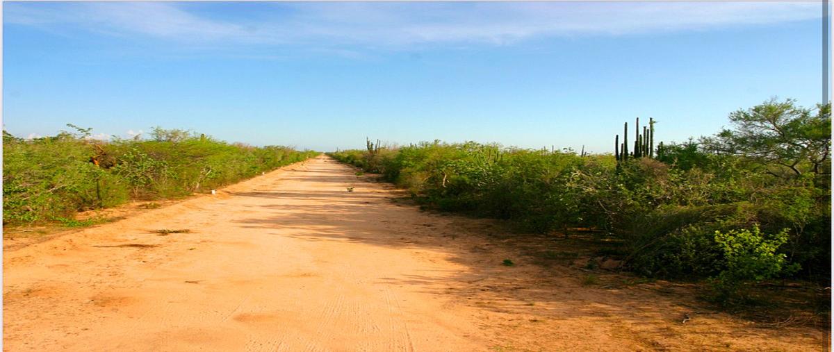 Foto de terreno habitacional en venta en camino del halcón , el carrizal, la paz, baja california sur, 0 No. 03