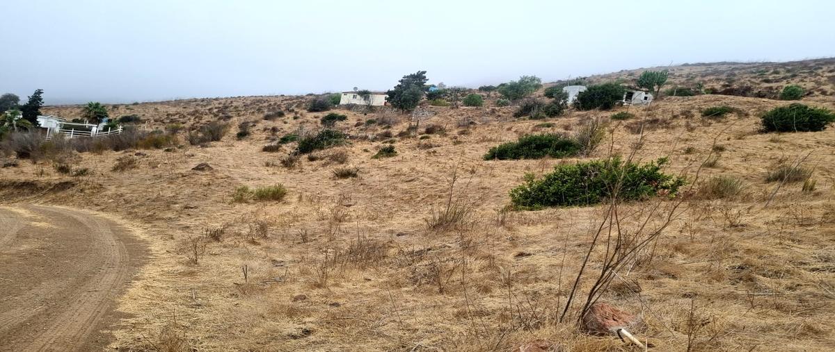Foto de terreno habitacional en venta en camino del maguey norte y camino del maguey sur , la misión, ensenada, baja california, 28483327 No. 04
