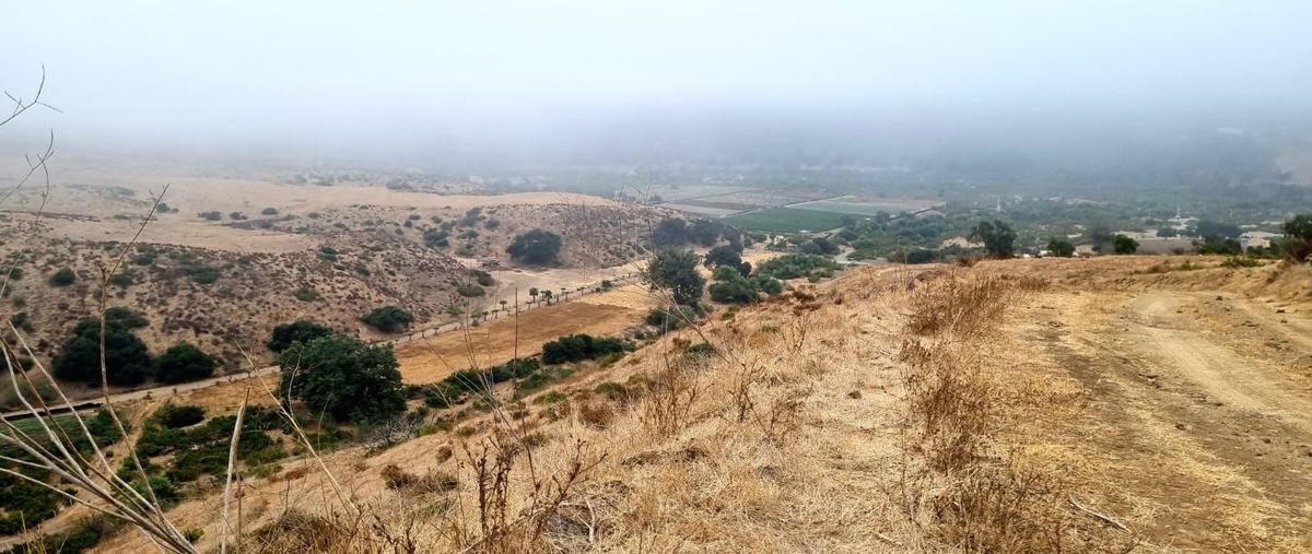 Foto de terreno habitacional en venta en camino del maguey norte y camino del maguey sur , la misión, ensenada, baja california, 28483327 No. 05