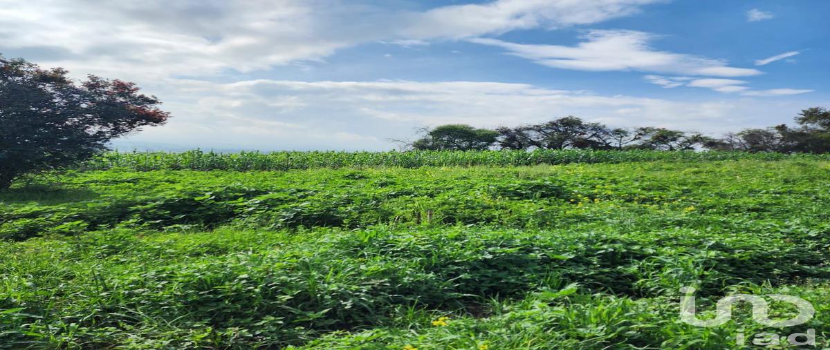 Foto de terreno habitacional en venta en camino del olivar denominado "cueliaco" , san antonio zoyatzingo, amecameca, méxico, 0 No. 03