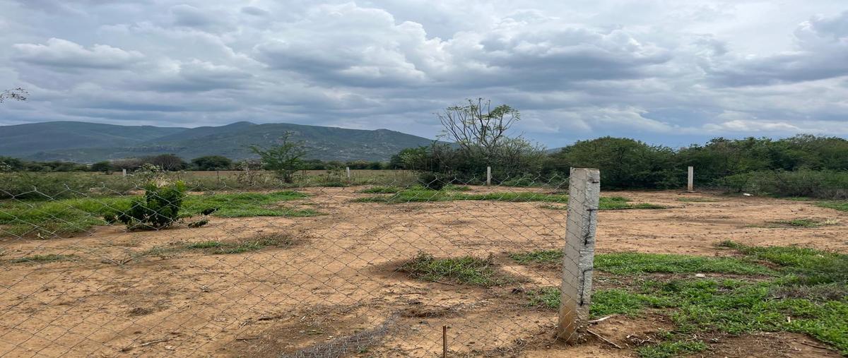 Foto de terreno habitacional en venta en camino del tarrastro , la trinidad, tlalixtac de cabrera, oaxaca, 29299498 No. 03