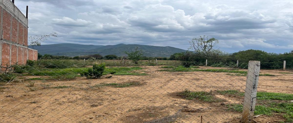 Foto de terreno habitacional en venta en camino del tarrastro , la trinidad, tlalixtac de cabrera, oaxaca, 29299498 No. 04