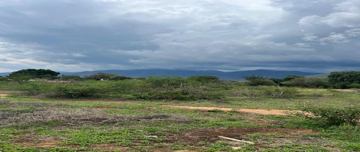Foto de terreno habitacional en venta en camino del tarrastro , la trinidad, tlalixtac de cabrera, oaxaca, 29299498 No. 05