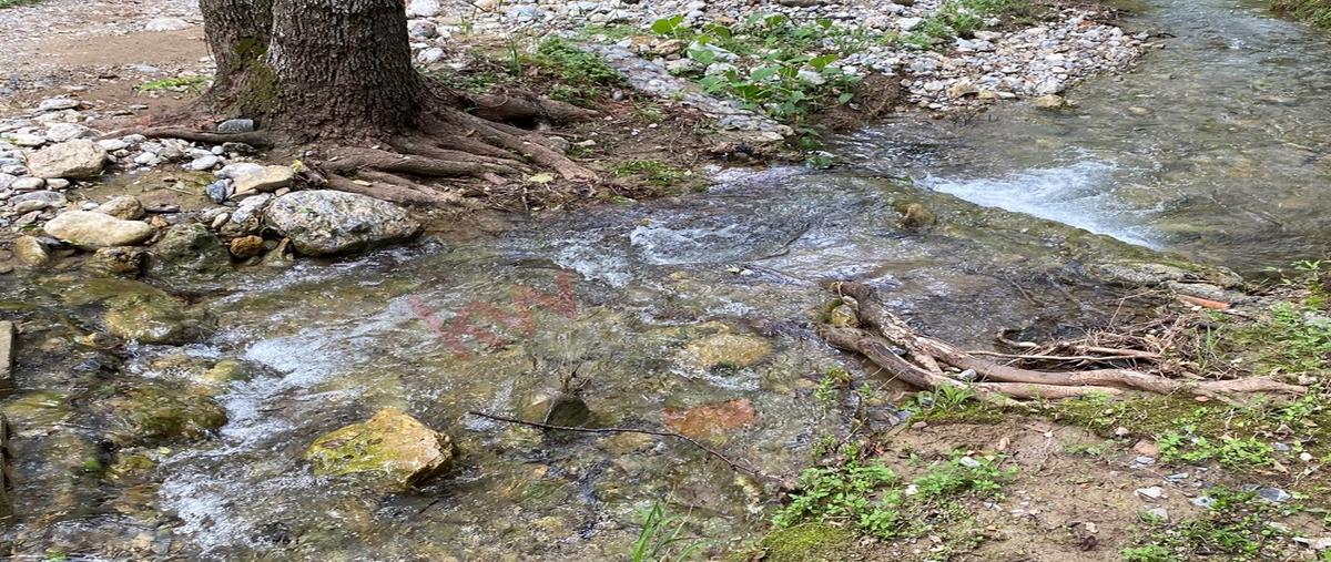 Foto de rancho en camino del zapatero 108, amorada privada residencial, santiago, nuevo león, 0 foto 04 Foto de rancho en venta en camino del zapatero 108, amorada privada residencial, santiago, nuevo león, 0 No. 04