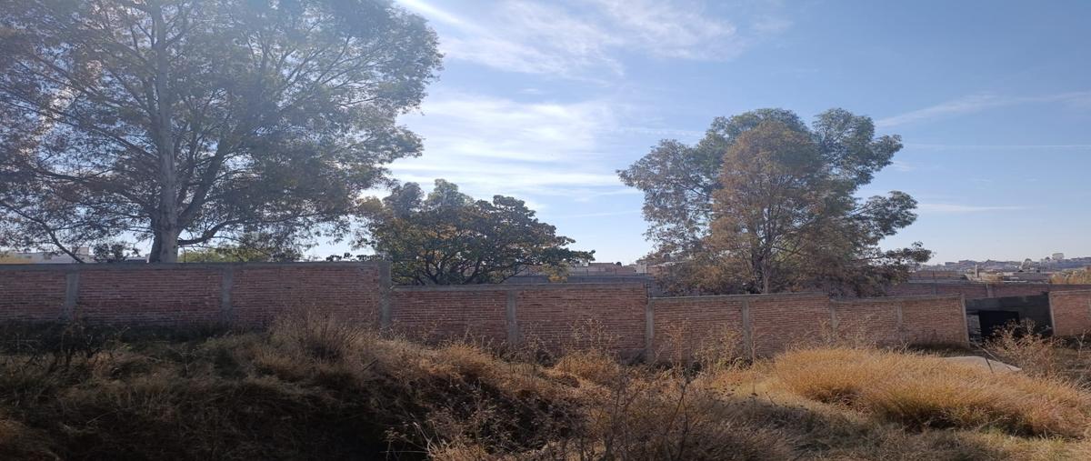 Foto de terreno habitacional en venta en camino ejidad de cervera , san josé de cervera, guanajuato, guanajuato, 30751696 No. 04