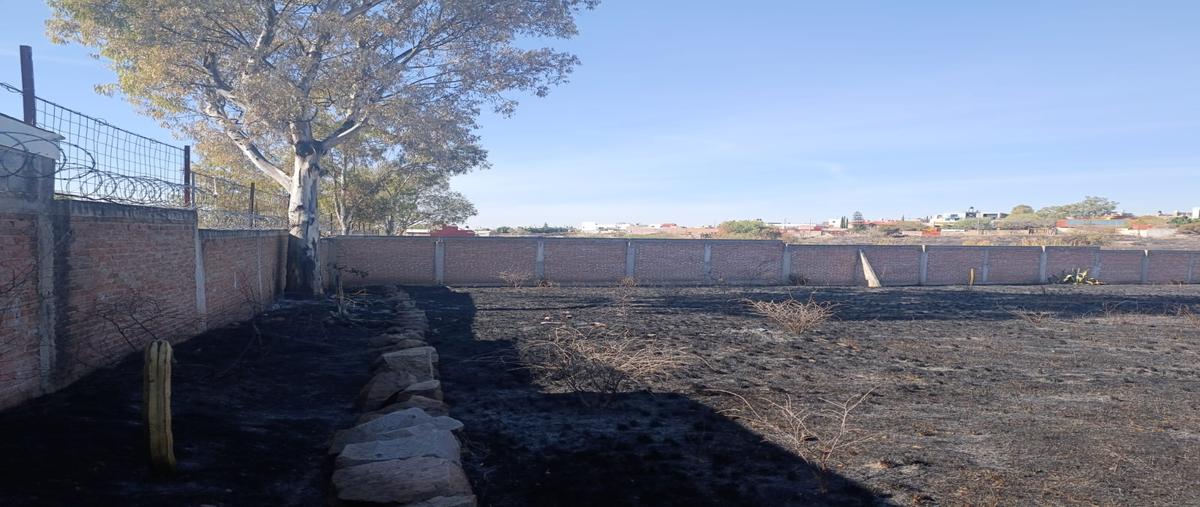 Foto de terreno habitacional en venta en camino ejidad de cervera , san josé de cervera, guanajuato, guanajuato, 30751696 No. 05
