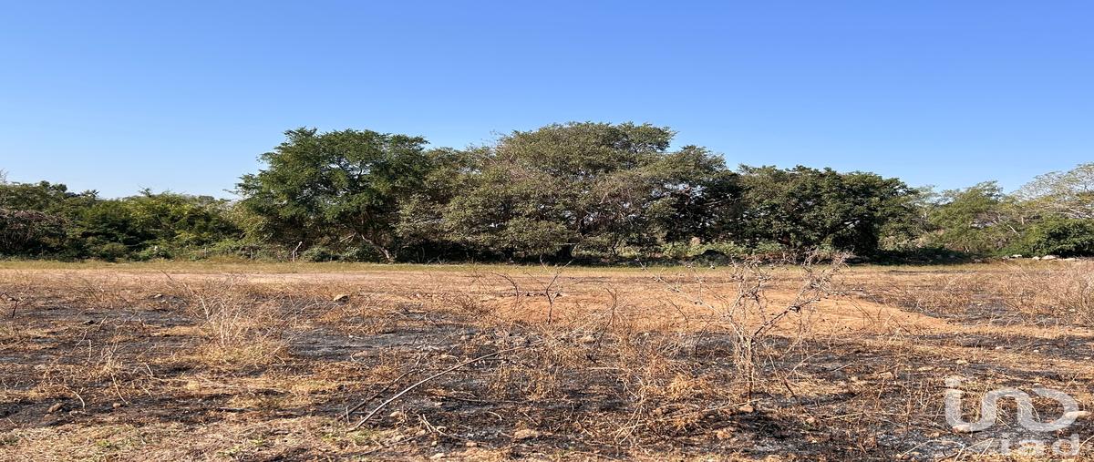 Foto de terreno habitacional en camino el chanal - la capacha , residencial valle verde, colima, colima, 30892758 foto 01 Foto de terreno habitacional en venta en camino el chanal - la capacha , residencial valle verde, colima, colima, 30892758 No. 01