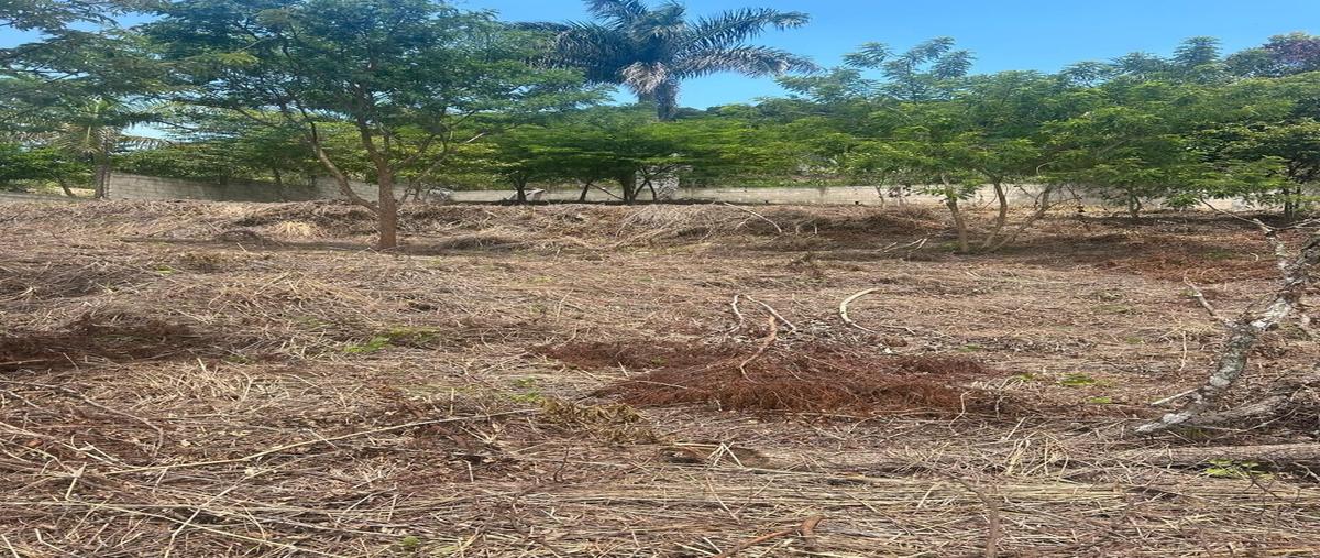 Foto de terreno habitacional en camino el zapote , álvaro obregón, san fernando, chiapas, 28534818 foto 02 Foto de terreno habitacional en venta en camino el zapote , álvaro obregón, san fernando, chiapas, 28534818 No. 02