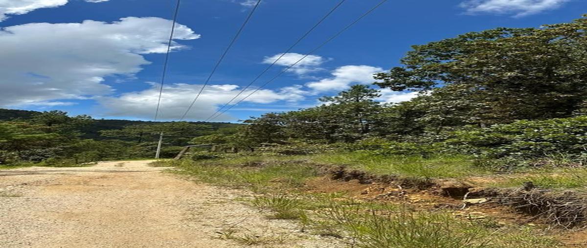 Foto de terreno habitacional en venta en camino en el cerro huitepec san felipe , lomas de huitepec, san cristóbal de las casas, chiapas, 27407606 No. 03