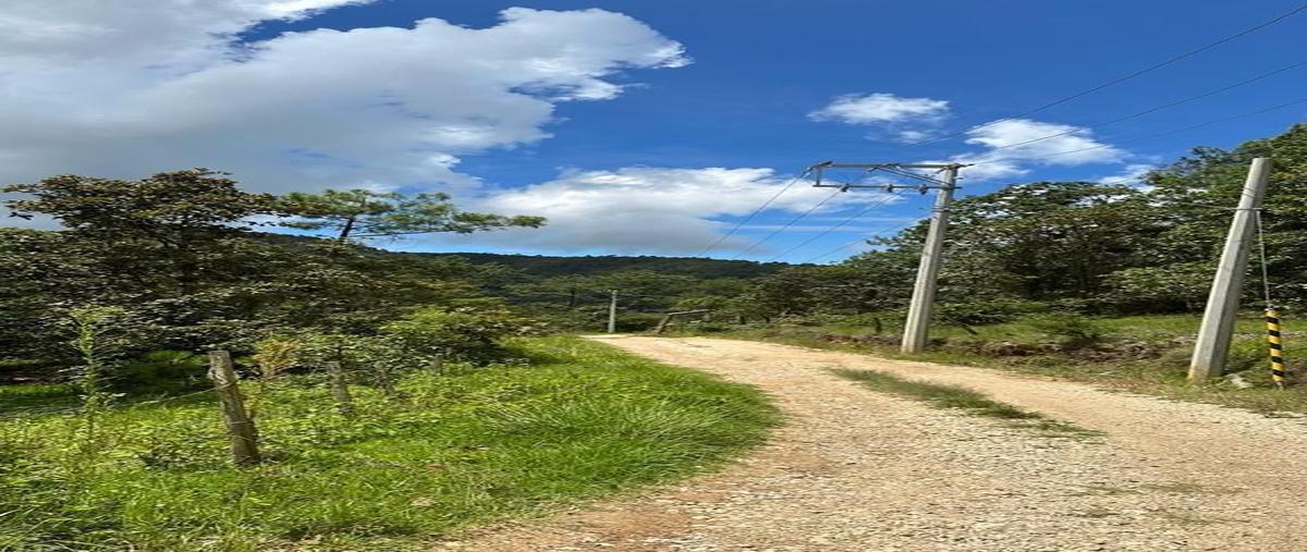 Foto de terreno habitacional en venta en camino en el cerro huitepec san felipe , lomas de huitepec, san cristóbal de las casas, chiapas, 27407606 No. 04