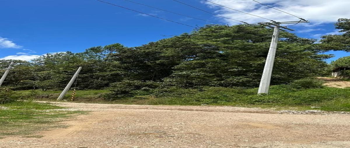 Foto de terreno habitacional en venta en camino en el cerro huitepec san felipe , lomas de huitepec, san cristóbal de las casas, chiapas, 27407606 No. 05