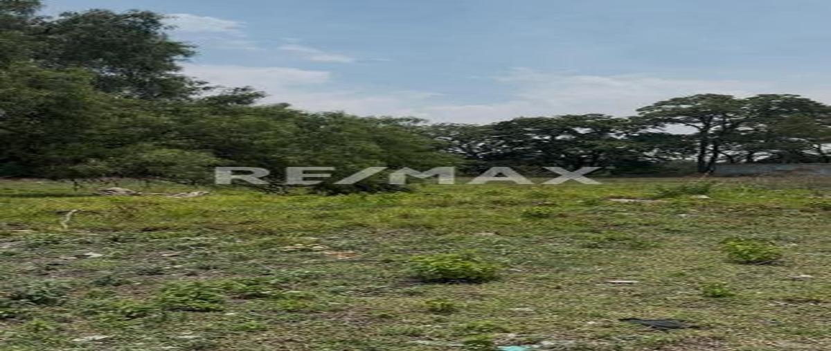 Foto de terreno comercial en venta en camino ex-hacienda san juan tulcingo , san cristóbal caleras (tulcingo), puebla, puebla, 0 No. 04